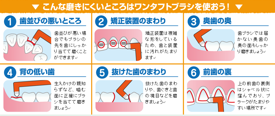 タフトブラシとは？